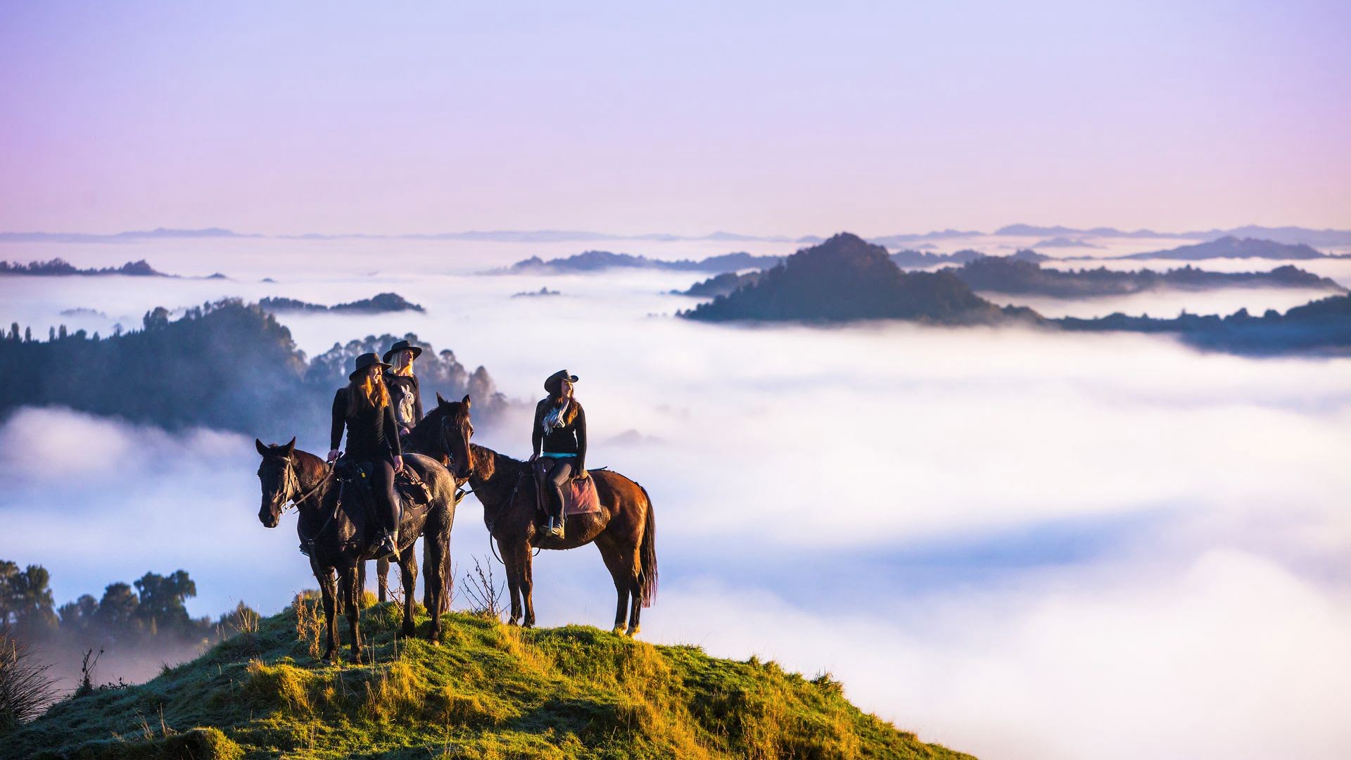 Horse trekking shop